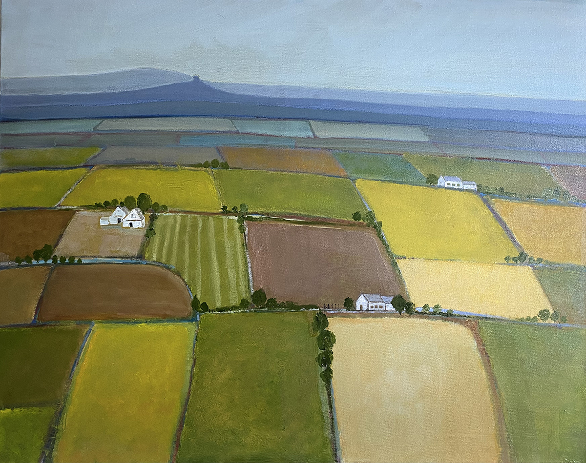 Wessex Summer Fields