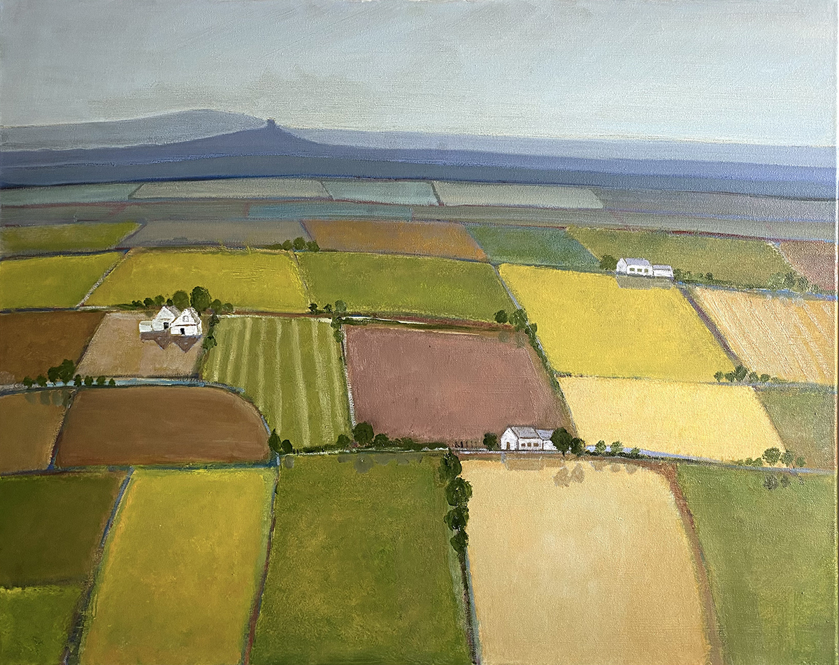 Wessex Summer Fields