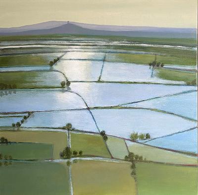 Wessex After the Rain