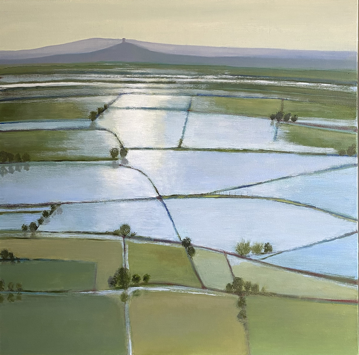 Wessex After the Rain