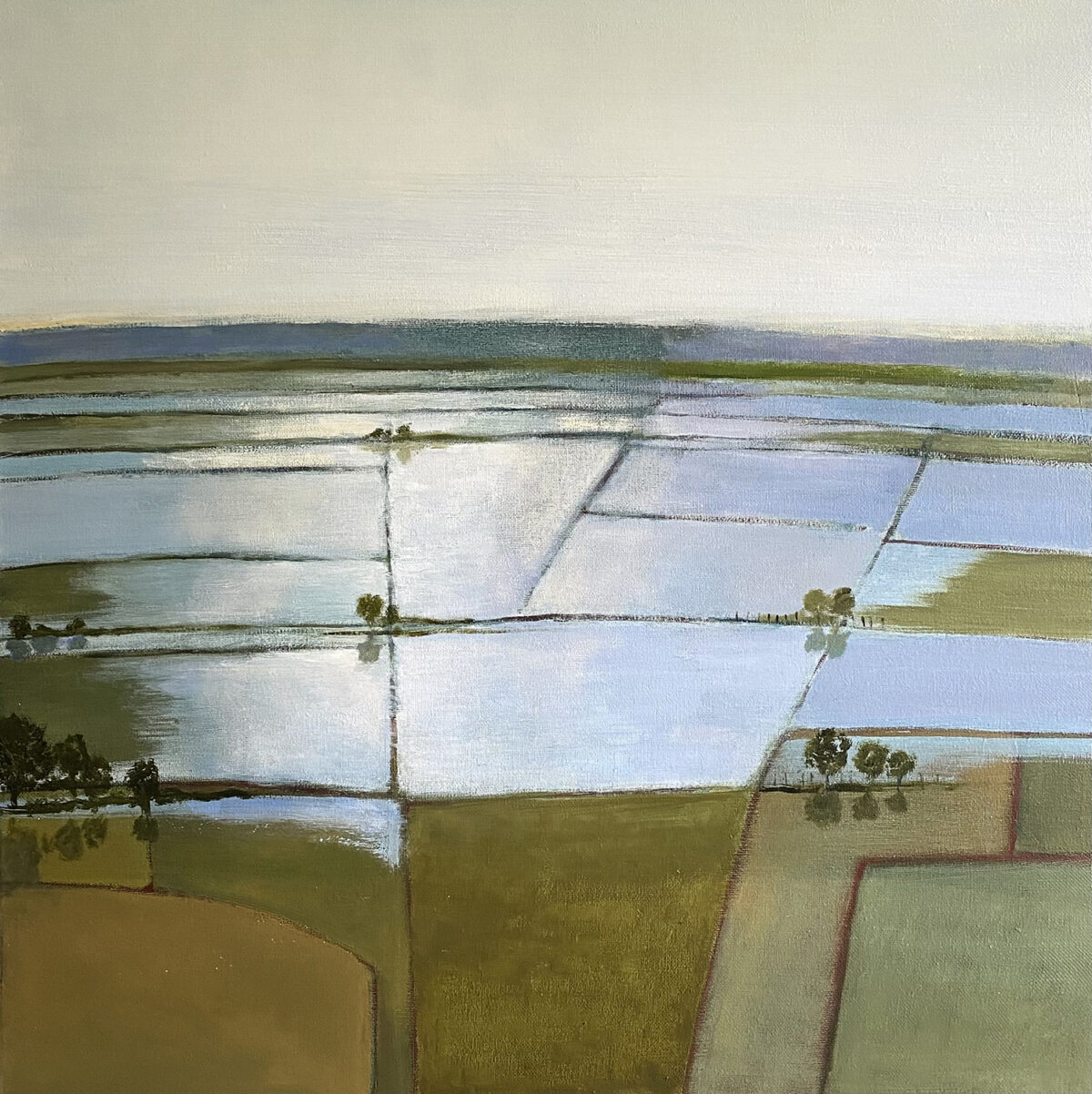 Wessex Marshes